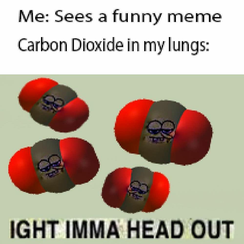 Roblox meme