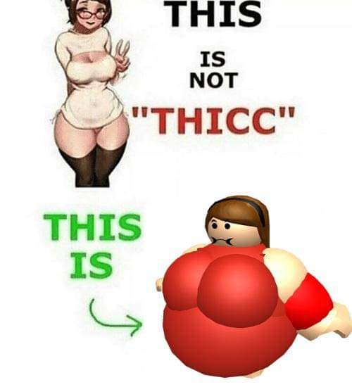 Roblox meme