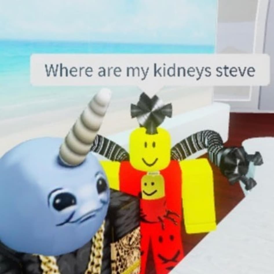 Roblox meme