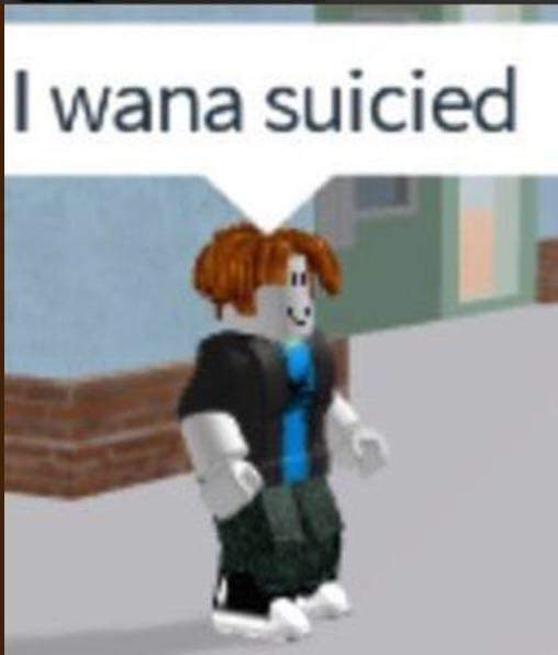 Roblox meme