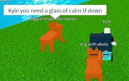 Roblox meme
