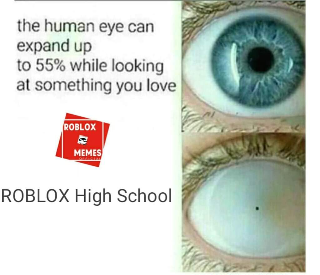 Roblox meme