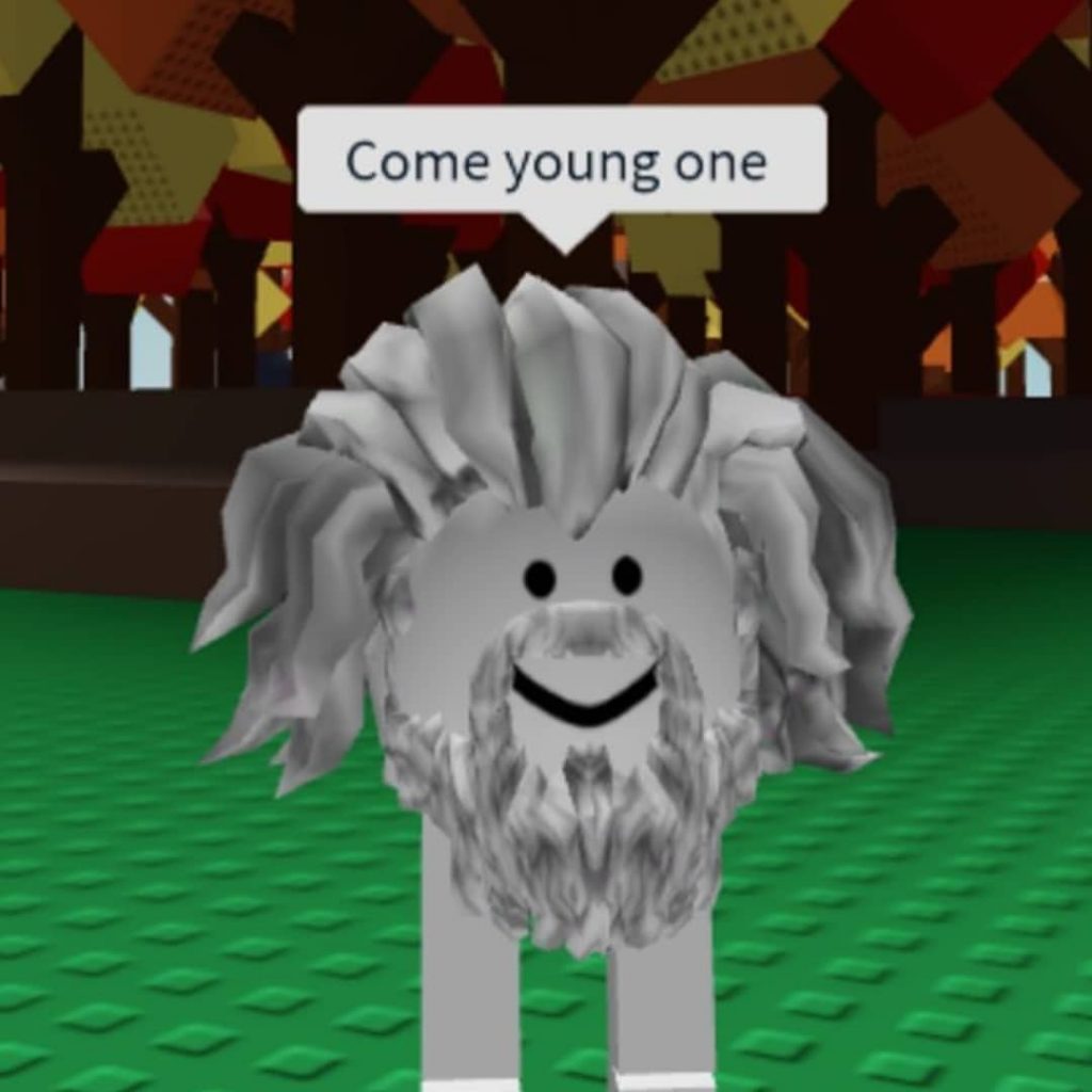Roblox meme